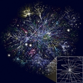 Internet Map - Visualisierung von Routen durch Teile des Internets by The Opte Project © The Opte Project