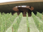 Blick vom Weingut auf eine Wendeltreppe, die sich durch das Gelände schraubt © QUER