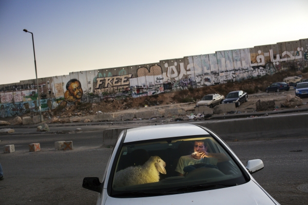 Fotoserie Jordanien - Daily Life Stories ©World Press Photo 2014 - Tanya Habjouqa